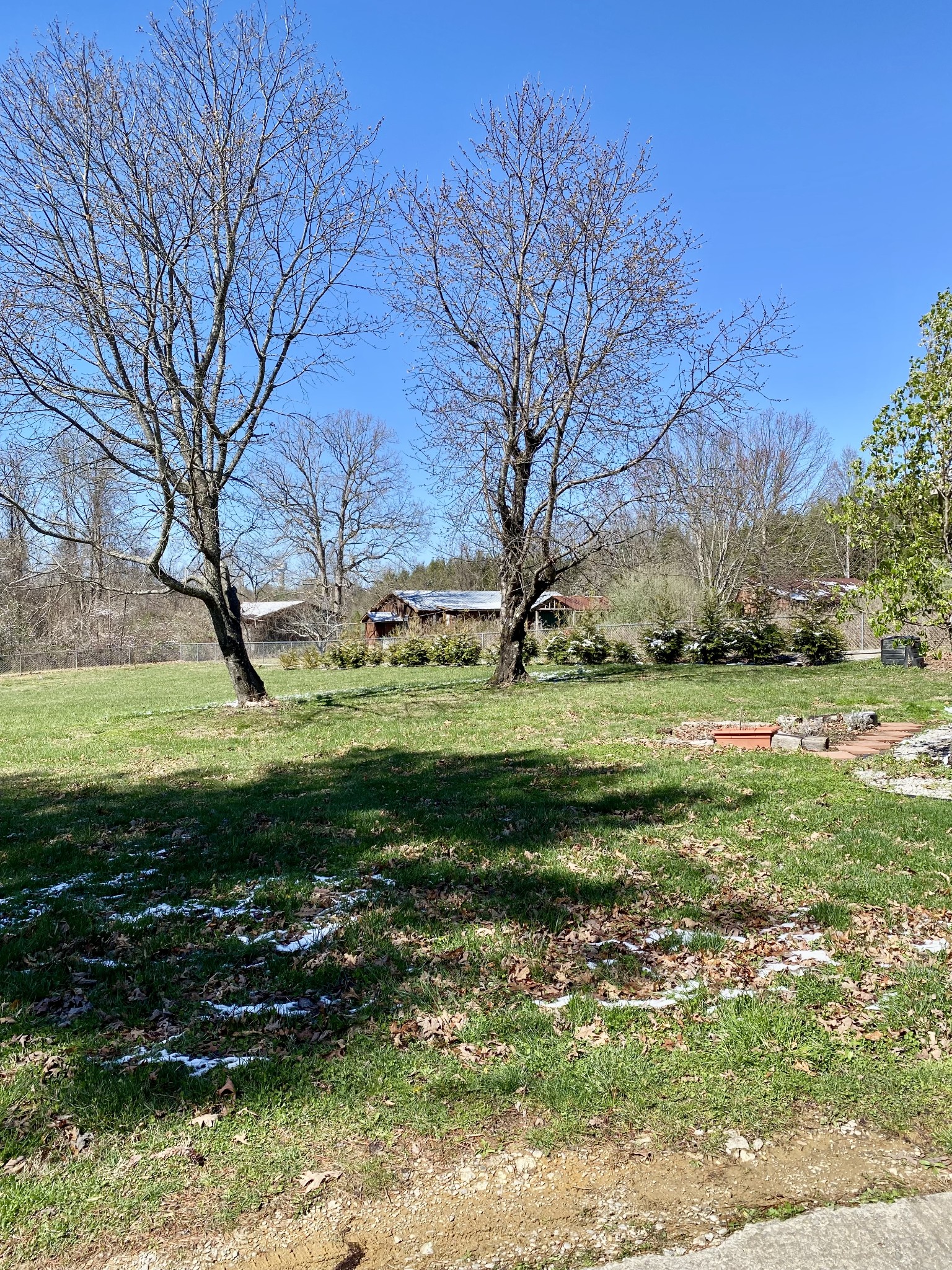 164 Rattlesnake Road Mcminnville TN 37110