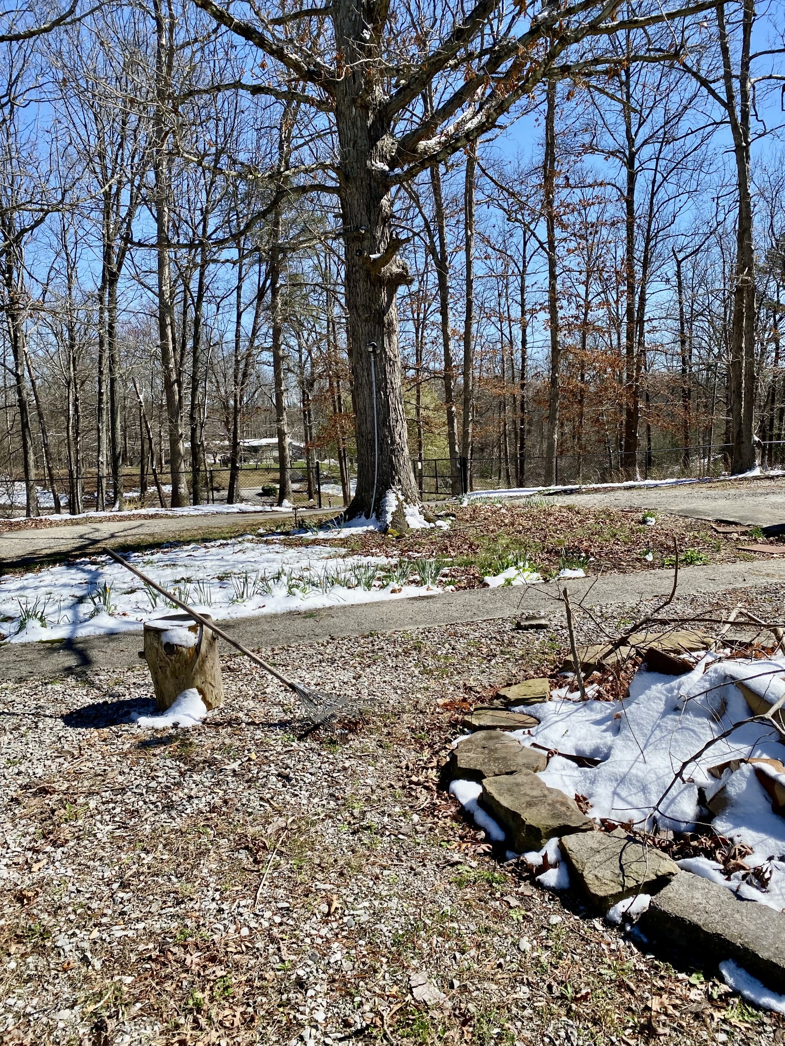 164 Rattlesnake Road Mcminnville TN 37110