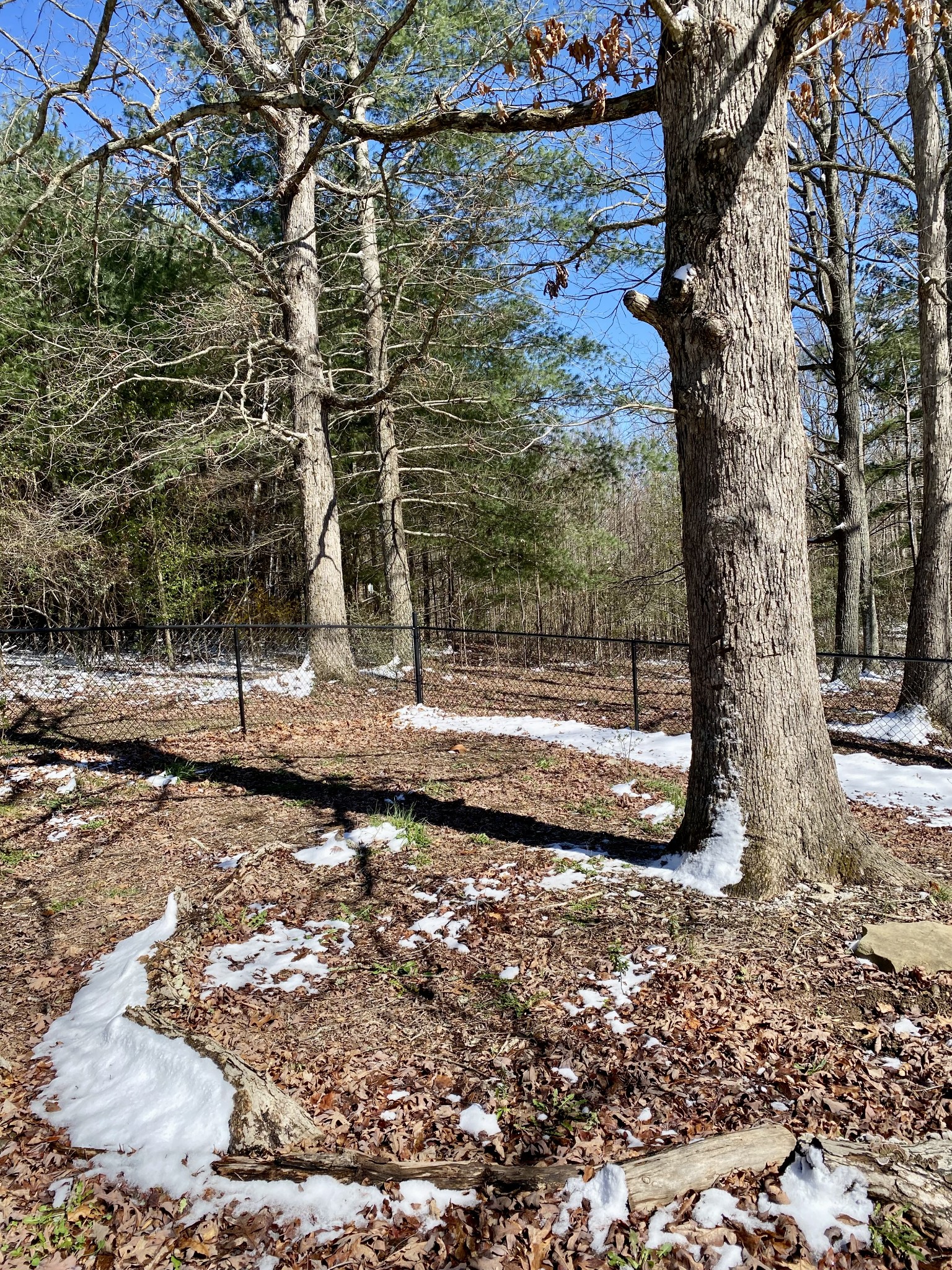 164 Rattlesnake Road Mcminnville TN 37110