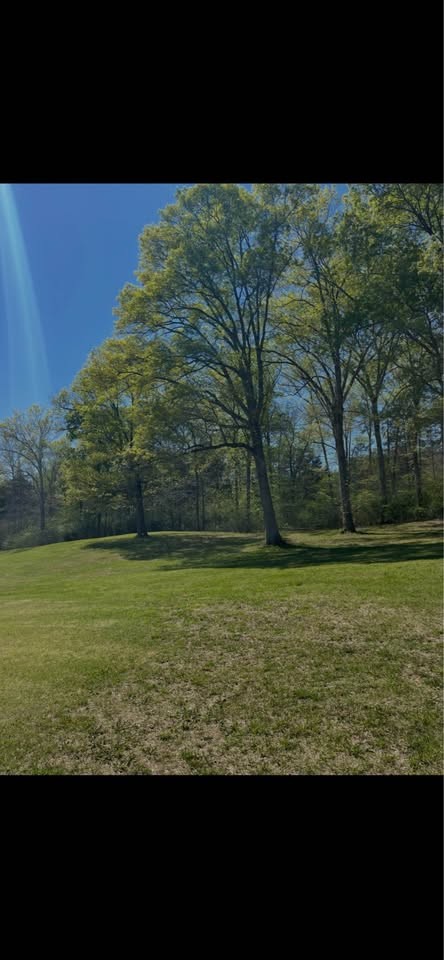 21552 Us 127 Dunlap TN 37327