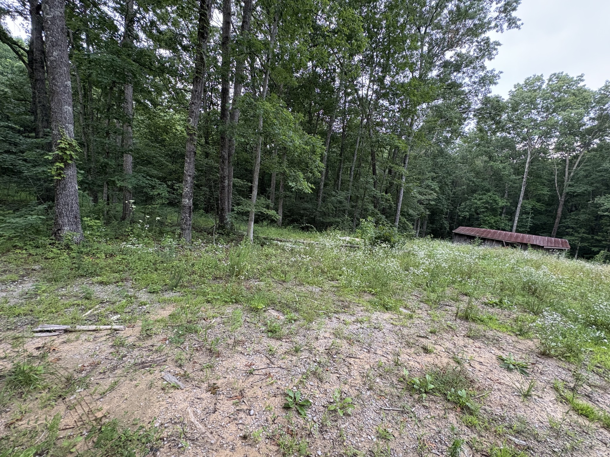 1117 Deer Run Altamont TN 37301