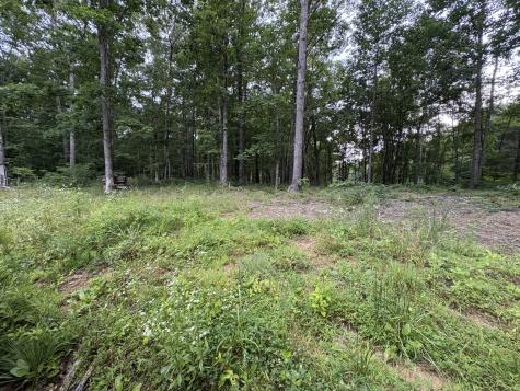 1117 Deer Run Altamont TN 37301