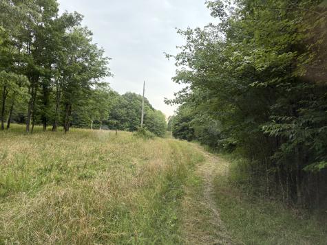 1117 Deer Run Altamont TN 37301