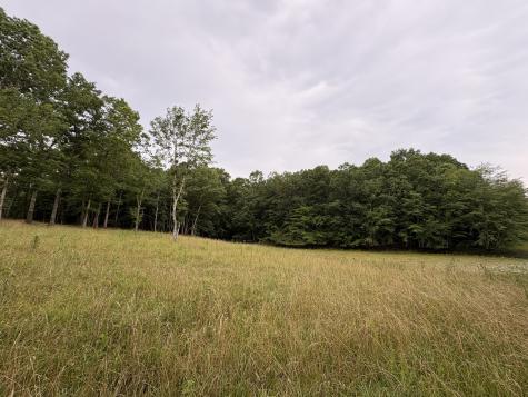 1117 Deer Run Altamont TN 37301