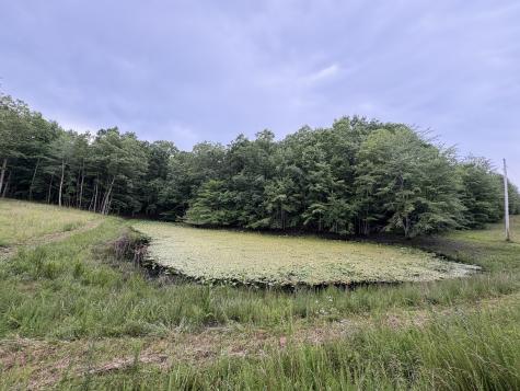 1117 Deer Run Altamont TN 37301