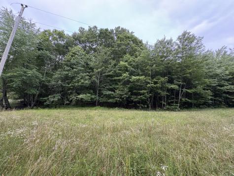 1117 Deer Run Altamont TN 37301