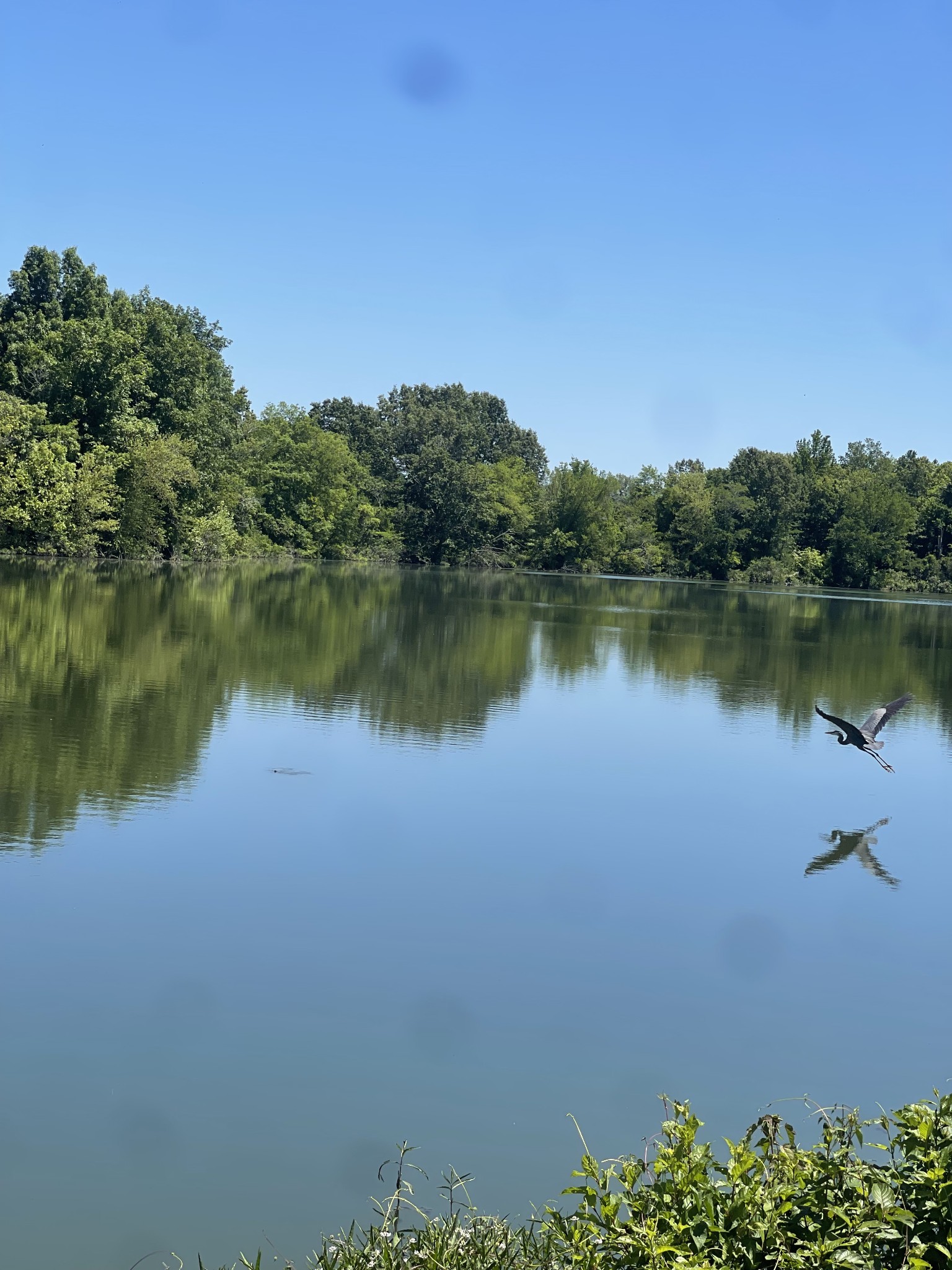 120 Manners Road Dover TN 37058