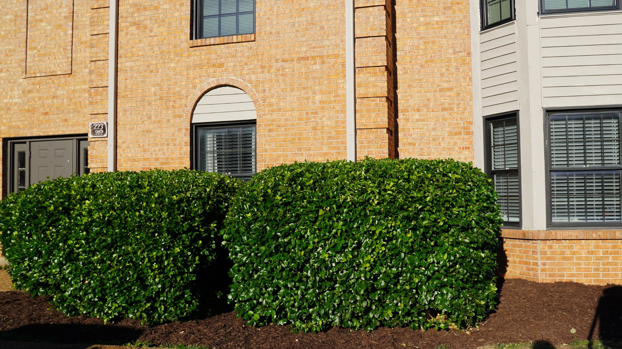 219 Ellington Place Madison TN 37115
