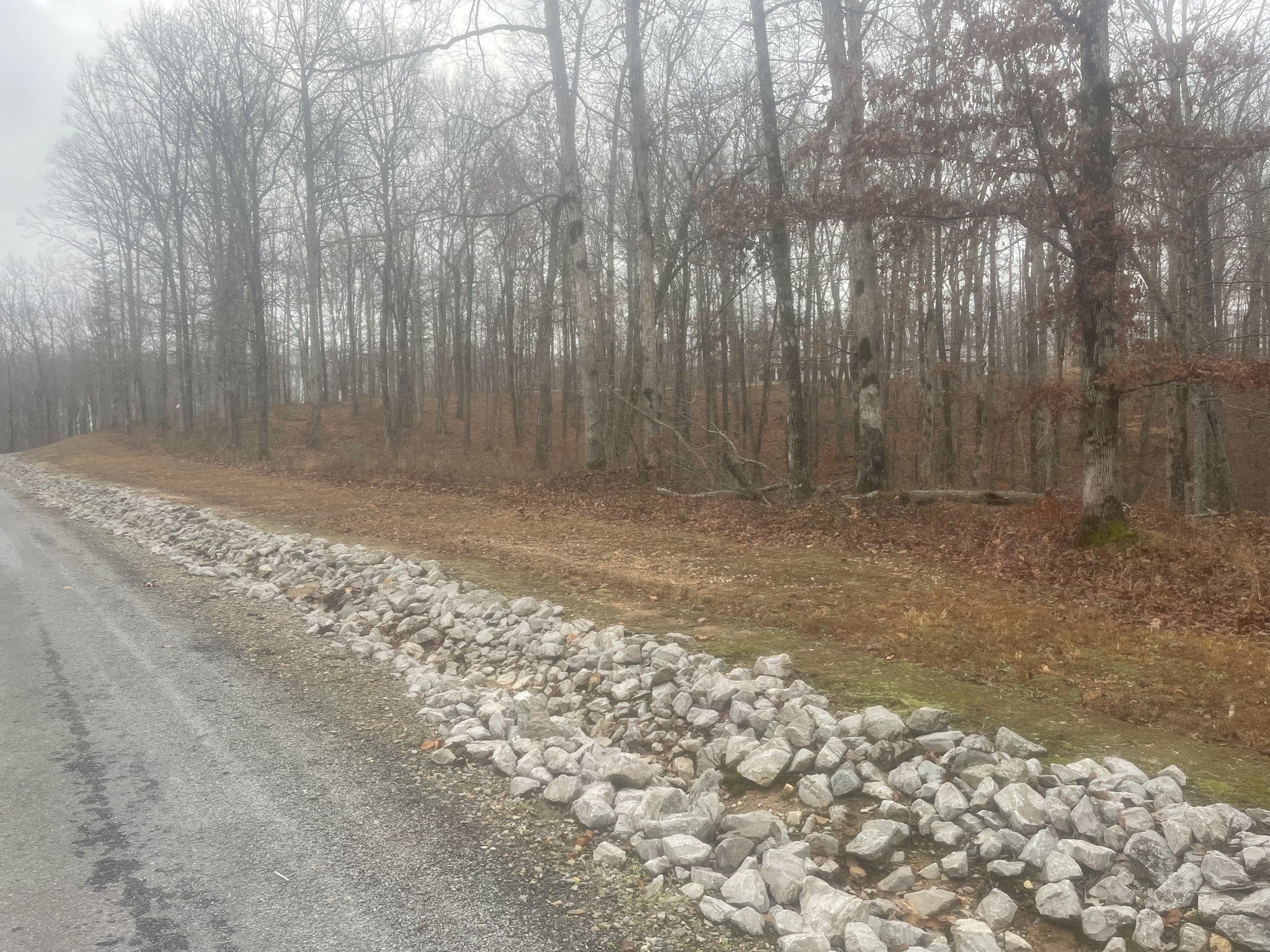 0 Stonebrook Drive Mc Ewen TN 37101