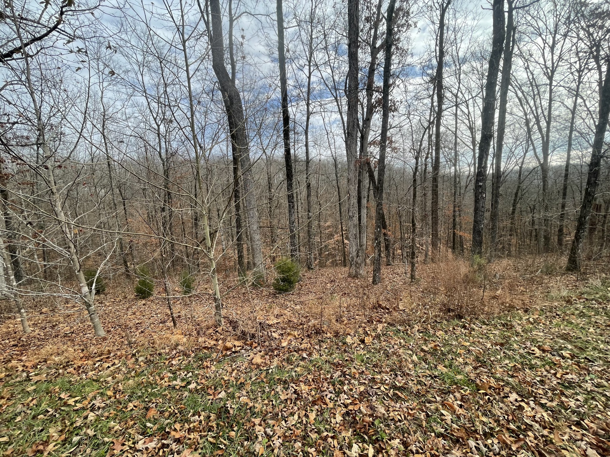 0 Stonebrook Drive Mc Ewen TN 37101
