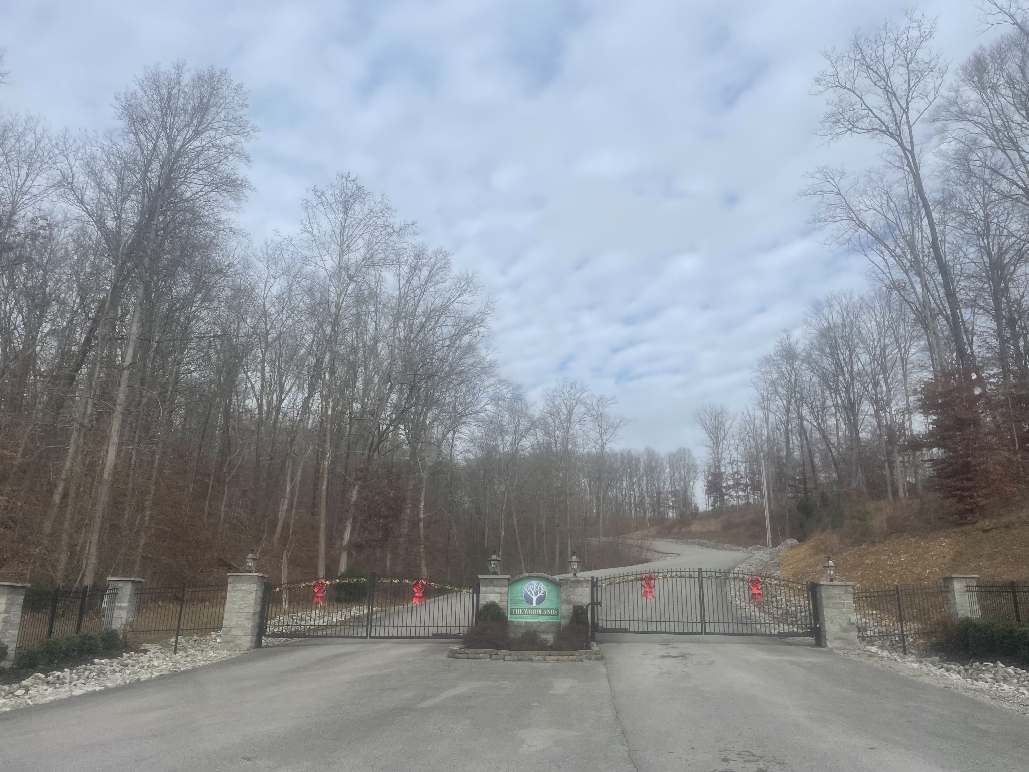 0 Stonebrook Drive Mc Ewen TN 37101