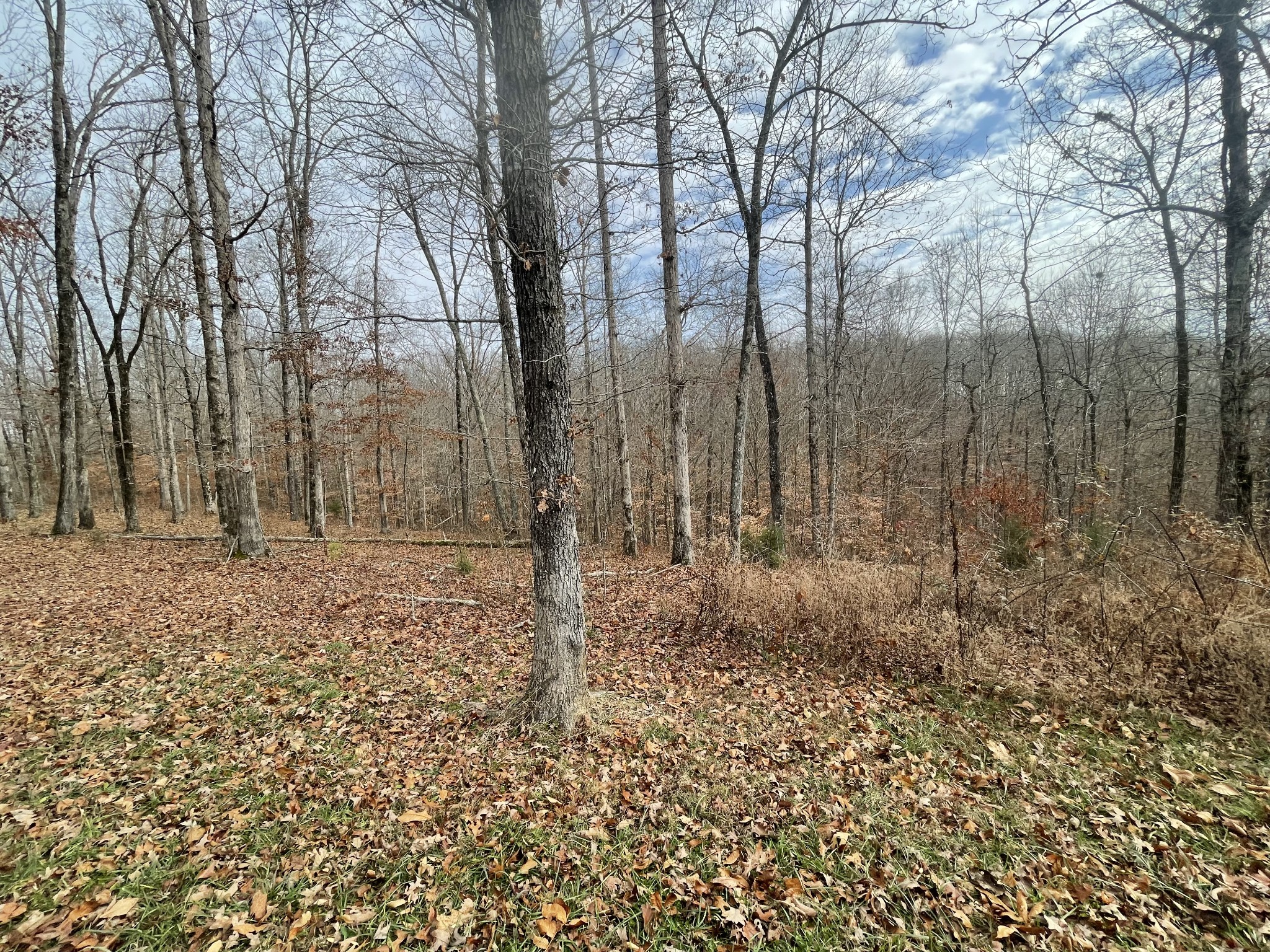 0 Stonebrook Drive Mc Ewen TN 37101