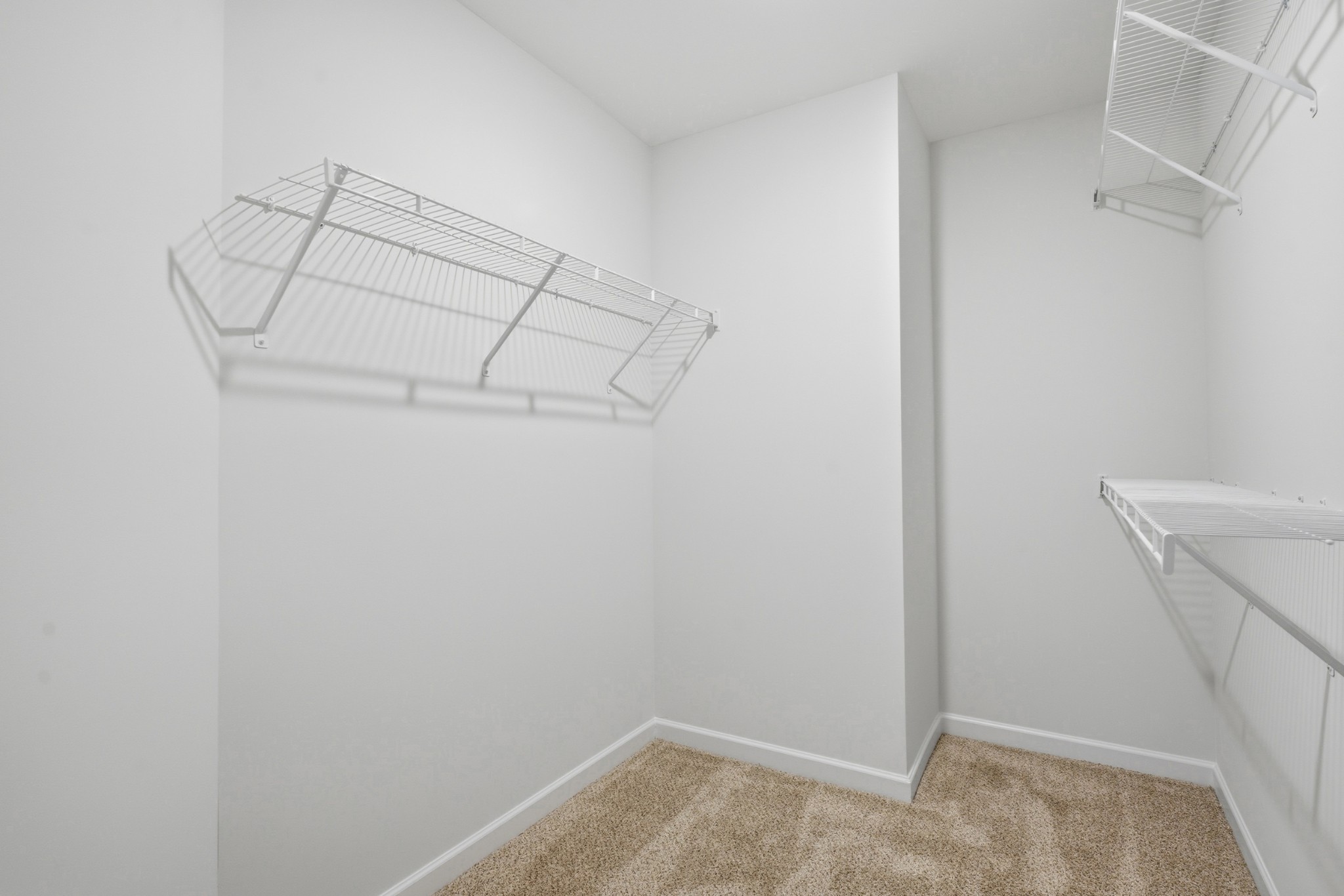 4015 Colleton Lane Murfreesboro TN 37128