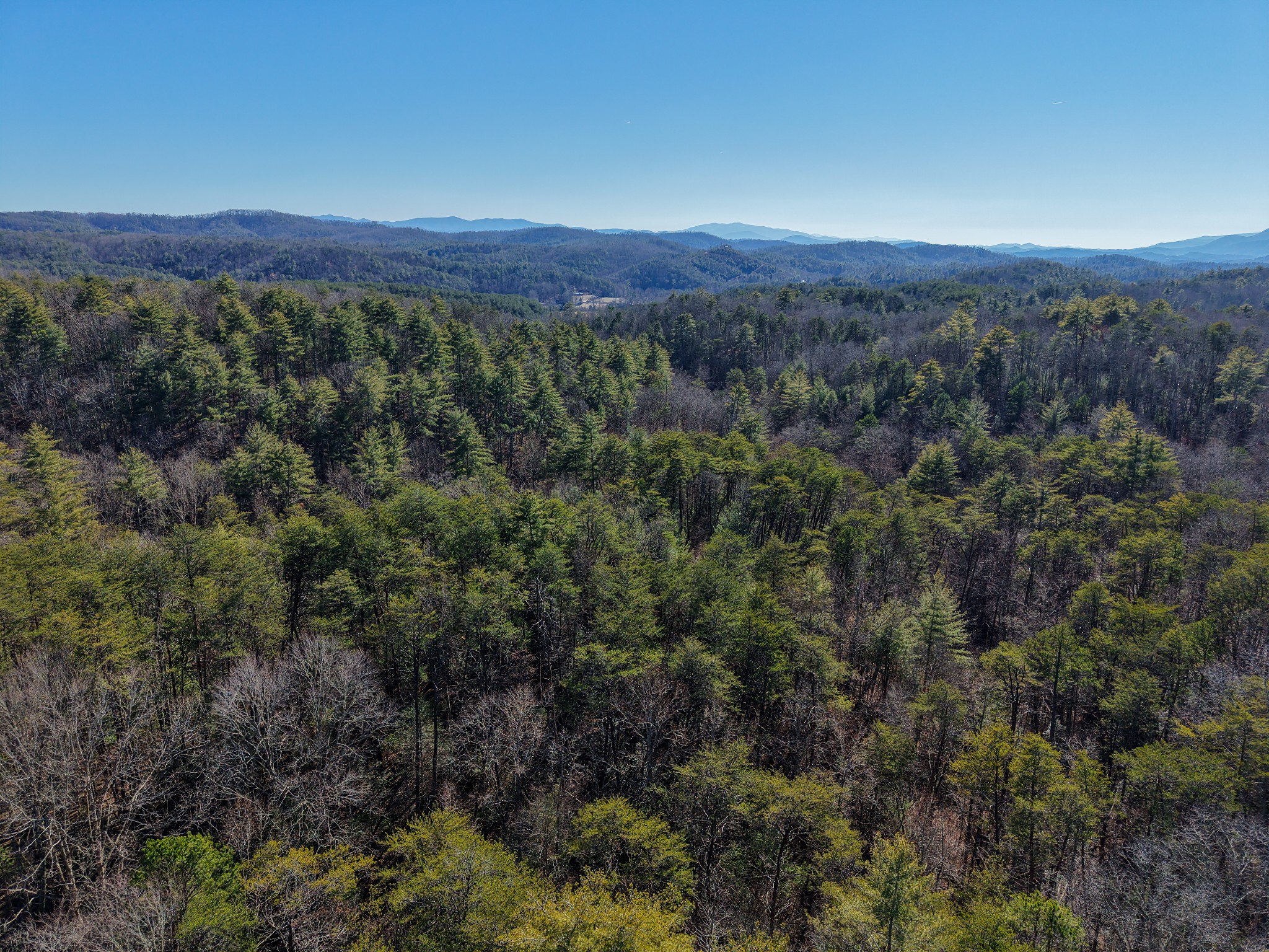 0 Maple Springs Road Tellico Plains TN 37385