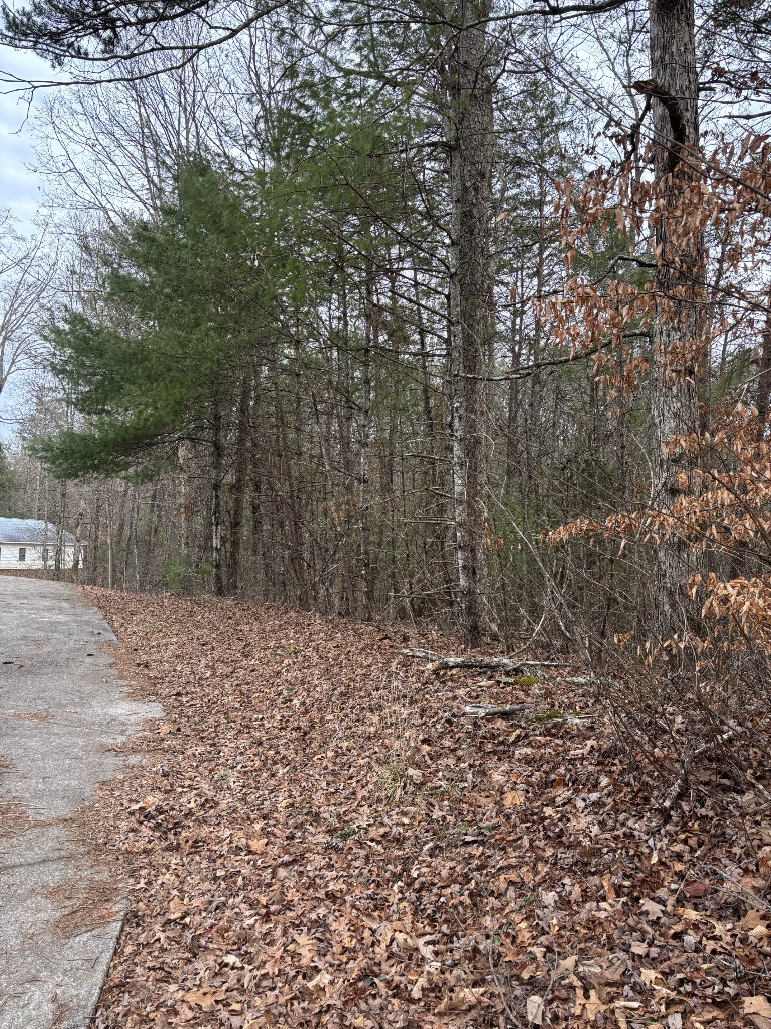 0 Maple Springs Road Tellico Plains TN 37385