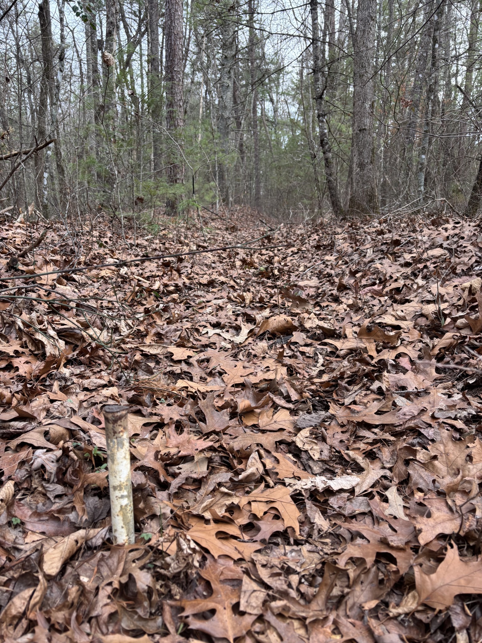 0 Maple Springs Road Tellico Plains TN 37385
