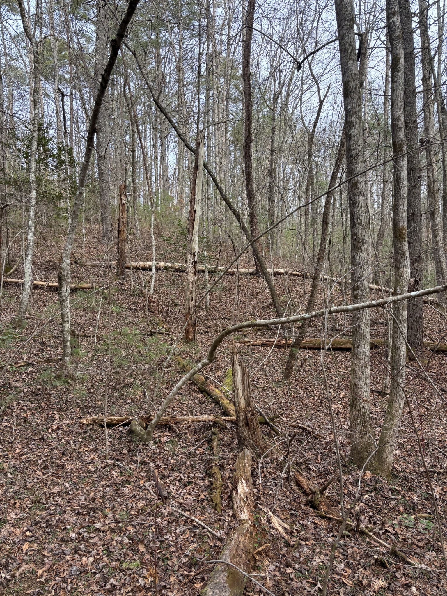 0 Maple Springs Road Tellico Plains TN 37385