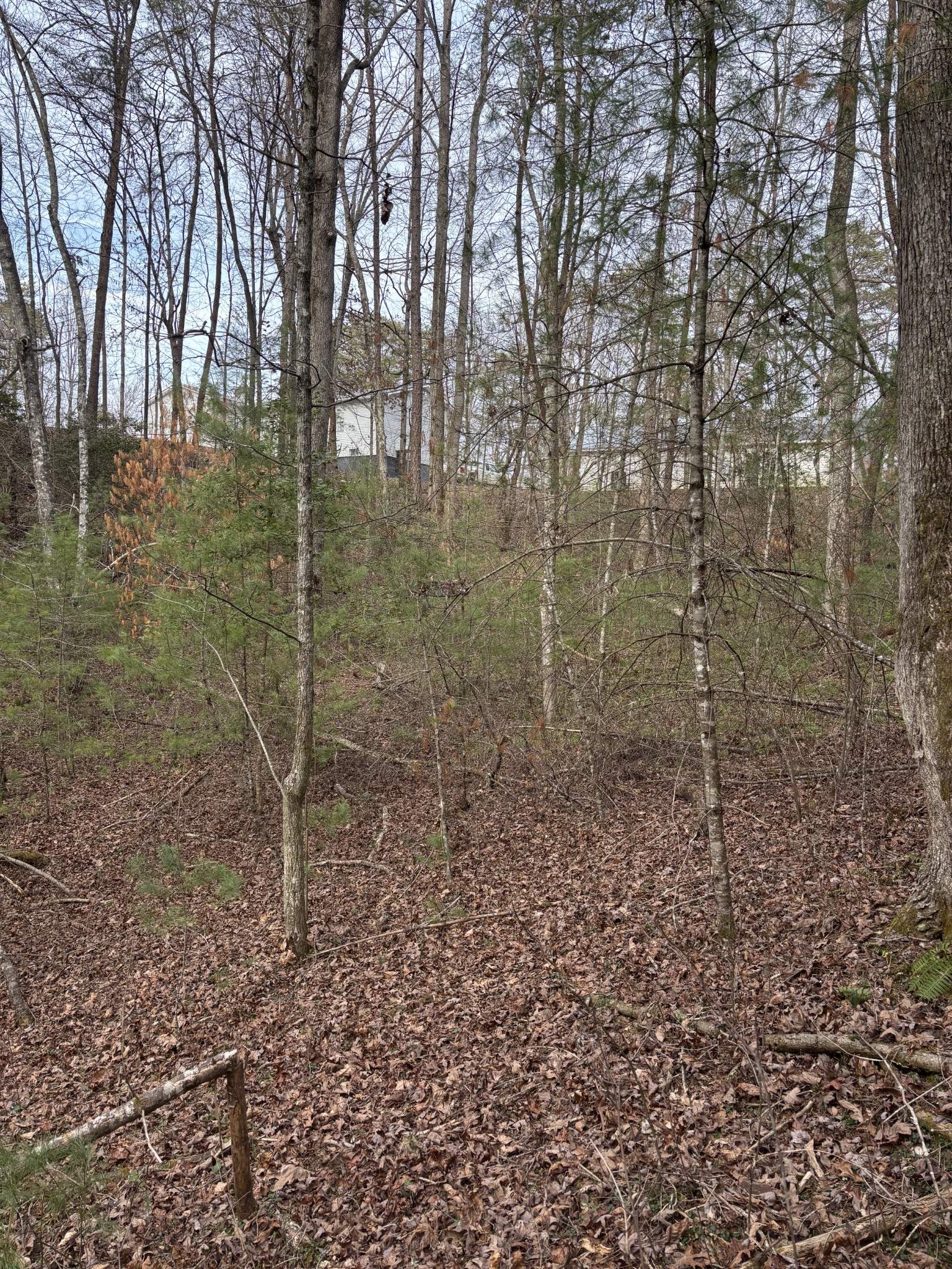0 Maple Springs Road Tellico Plains TN 37385