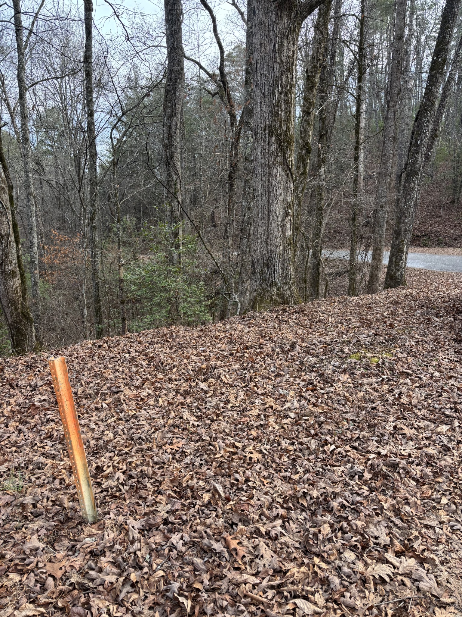 0 Maple Springs Road Tellico Plains TN 37385