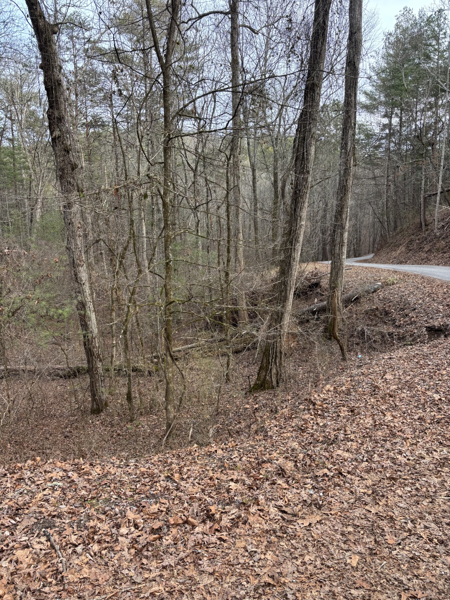 0 Maple Springs Road Tellico Plains TN 37385