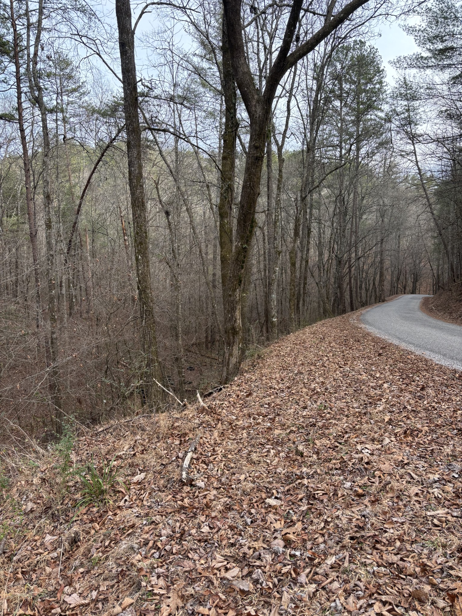 0 Maple Springs Road Tellico Plains TN 37385