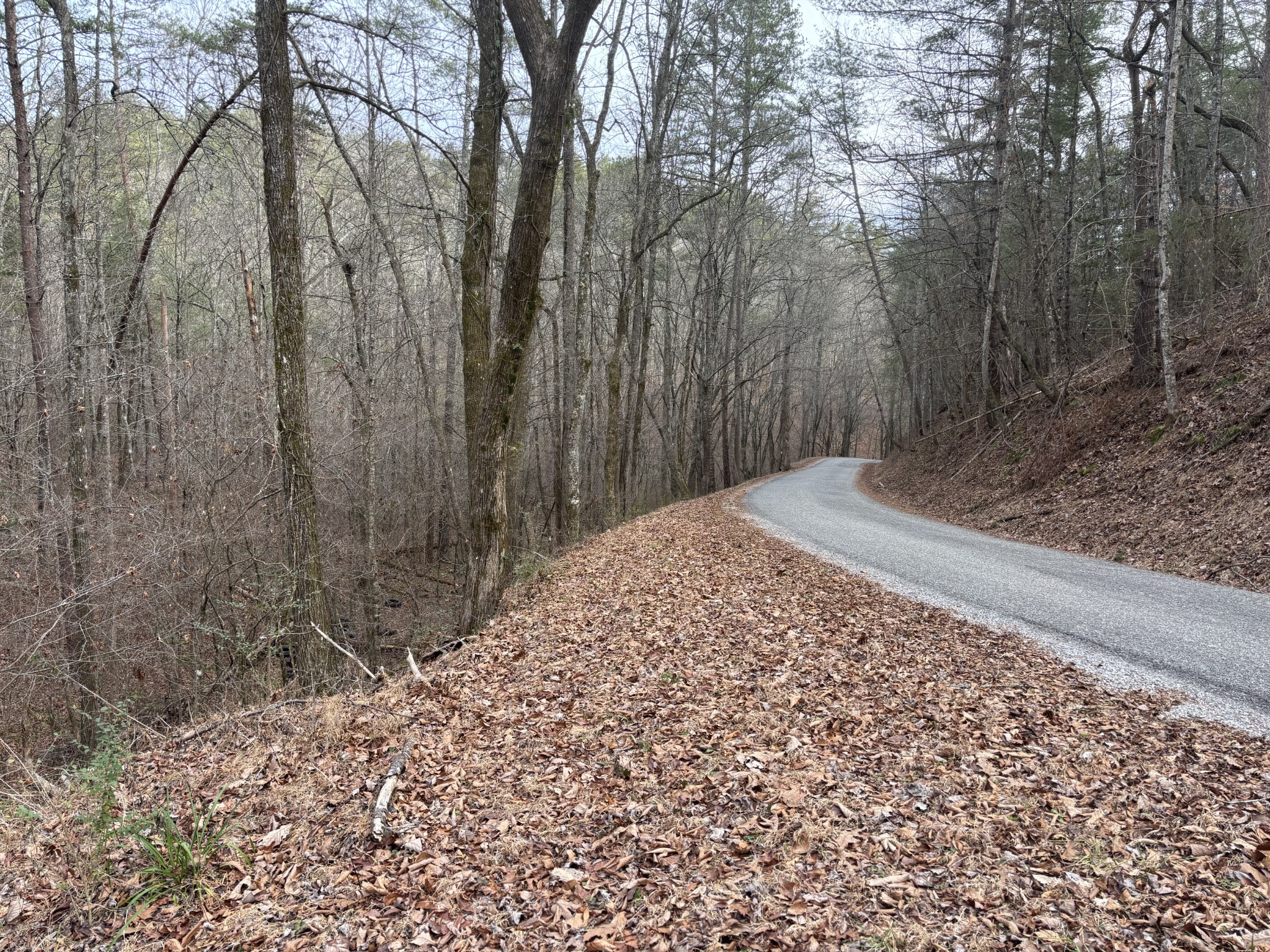 0 Maple Springs Road Tellico Plains TN 37385