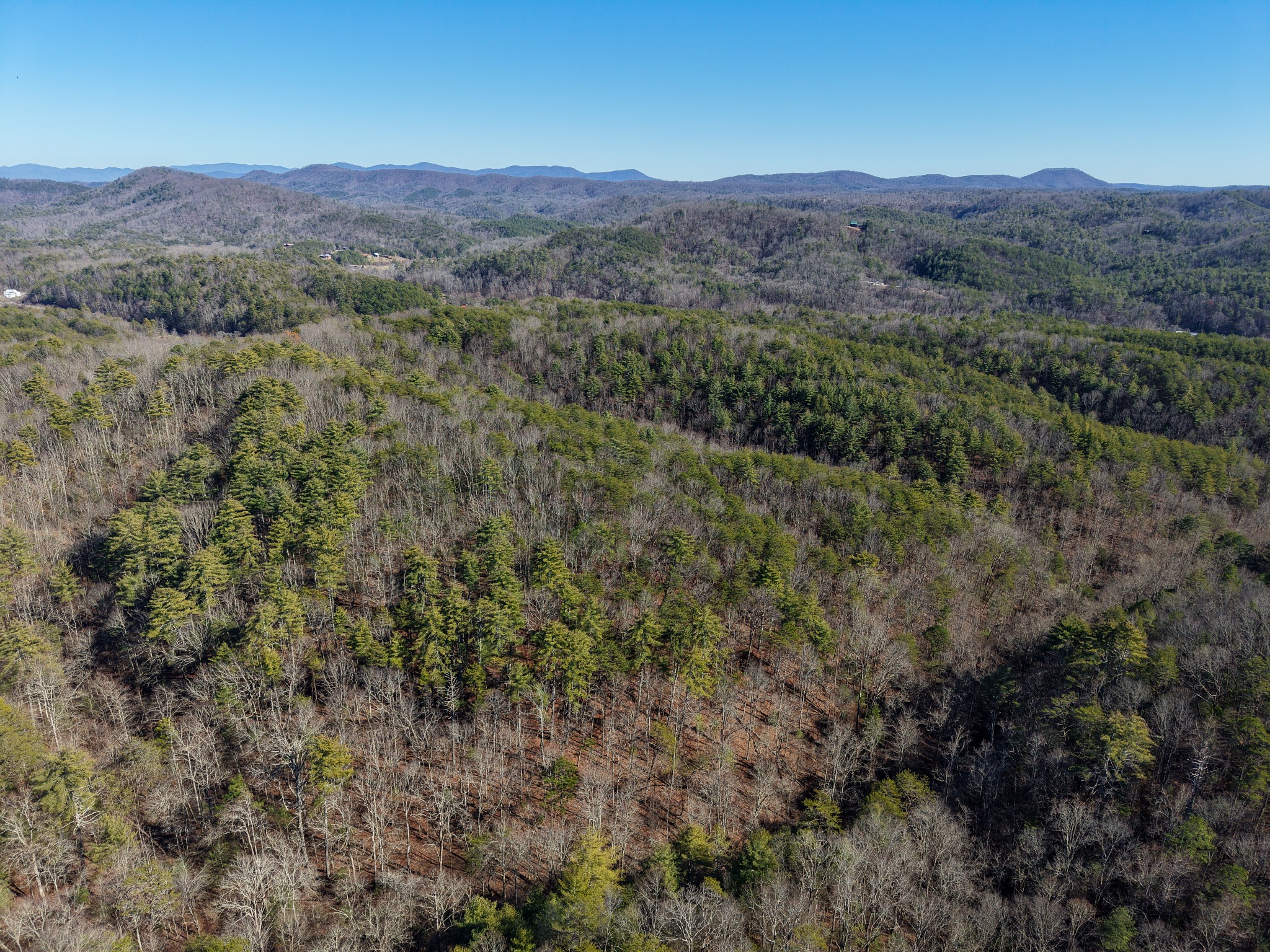0 Maple Springs Road Tellico Plains TN 37385