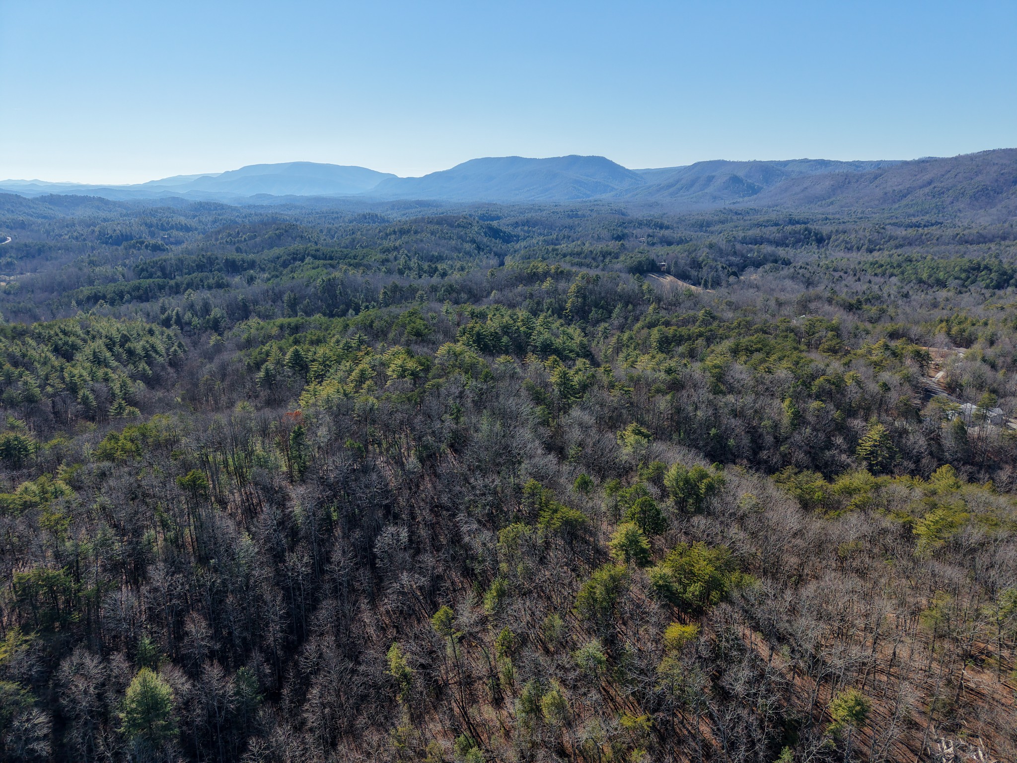 0 Maple Springs Road Tellico Plains TN 37385