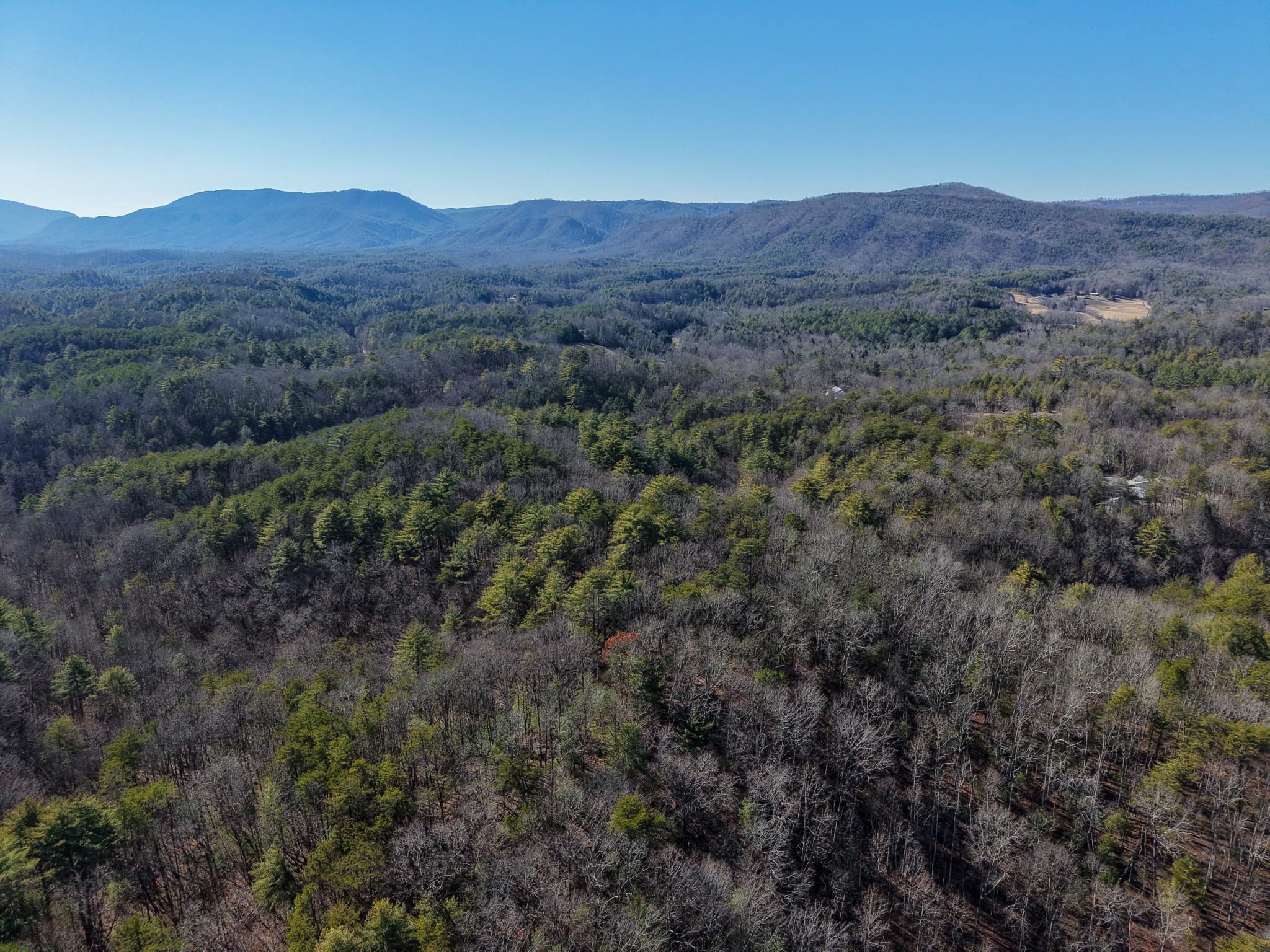 0 Maple Springs Road Tellico Plains TN 37385
