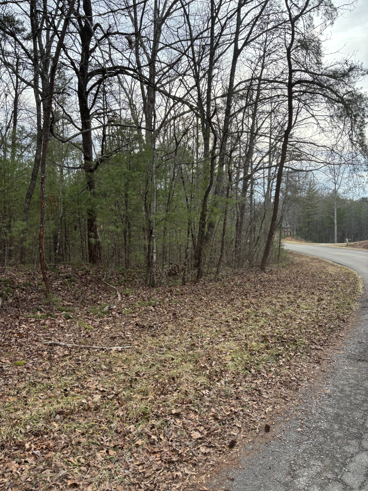 0 Maple Springs Road Tellico Plains TN 37385