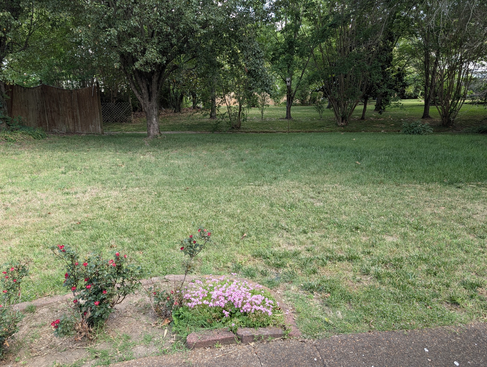 1401 Joe Pyron Drive Madison TN 37115