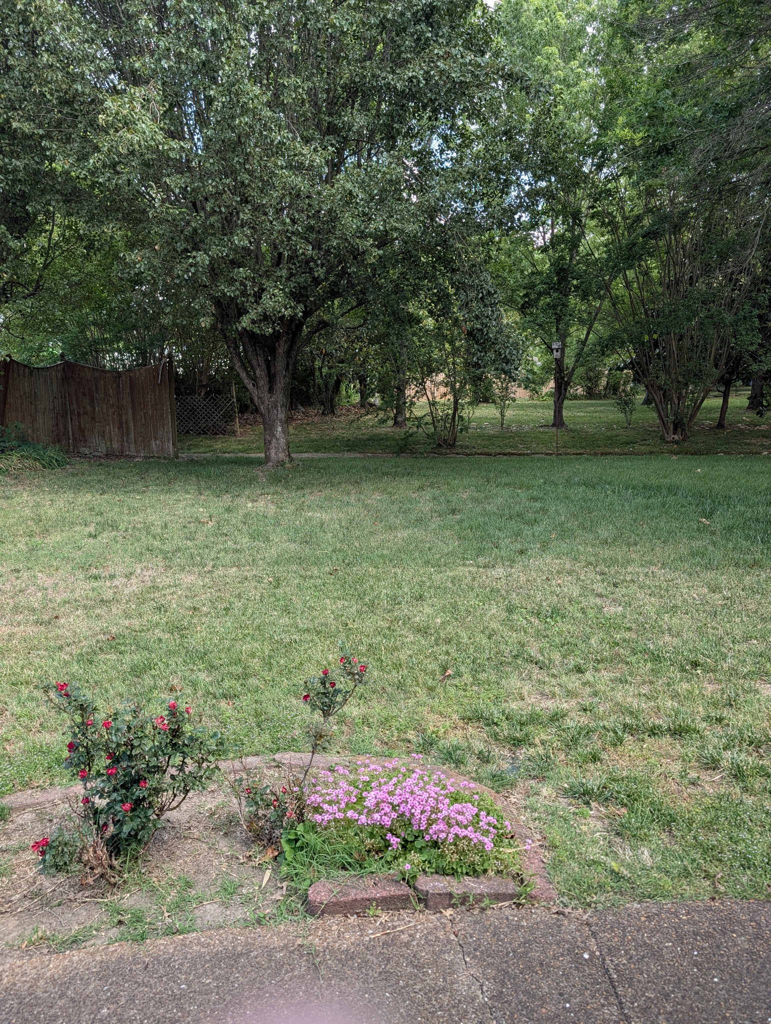 1401 Joe Pyron Drive Madison TN 37115