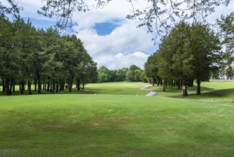 176 Nashboro Greens Nashville TN 37217
