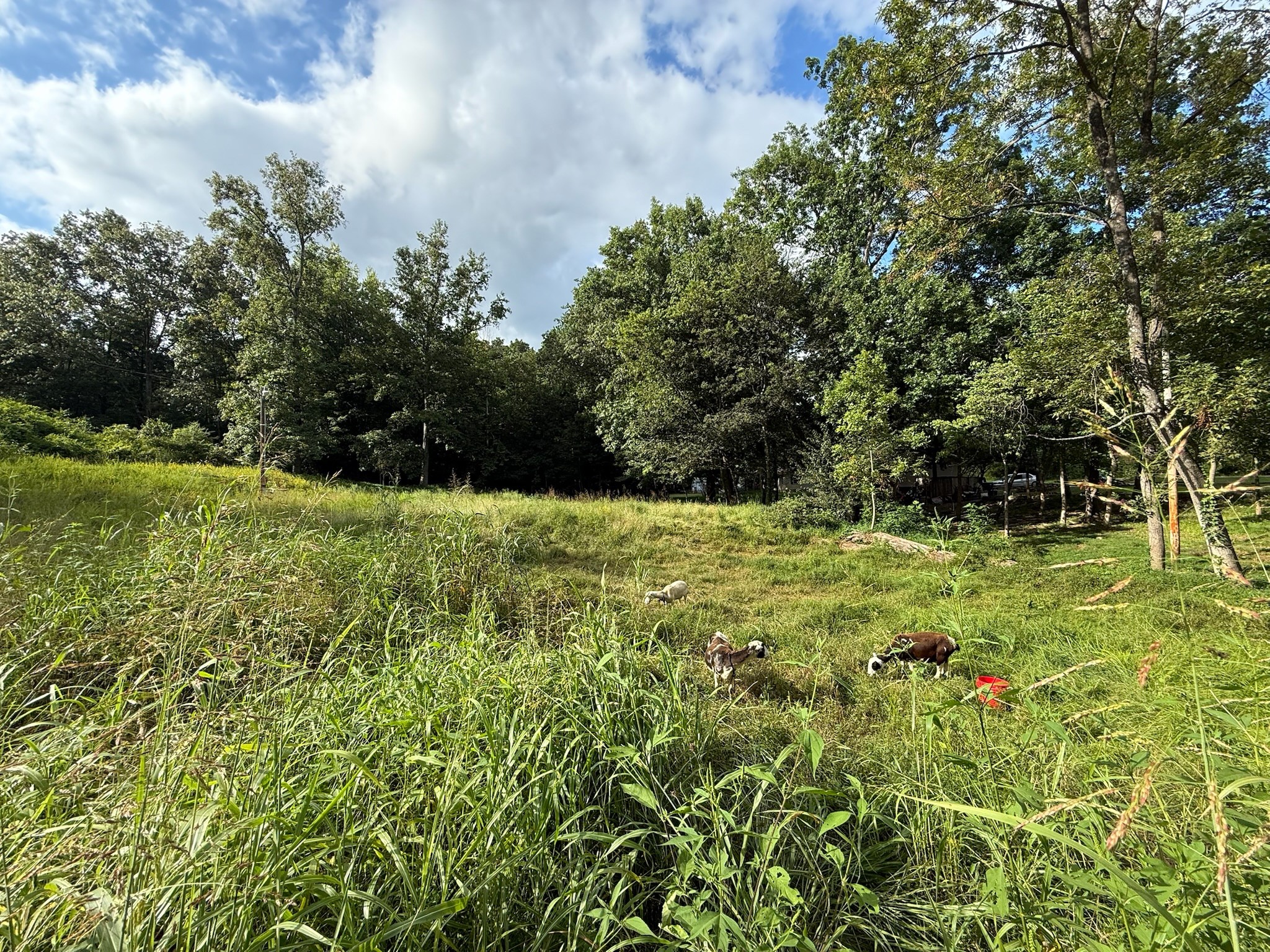 300 Lee Drive Beaver Dam KY 42320