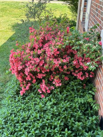 325 Sunrise Circle Mount Juliet TN 37122