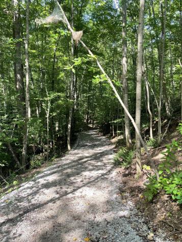 0 Summerlake Court Winchester TN 37398