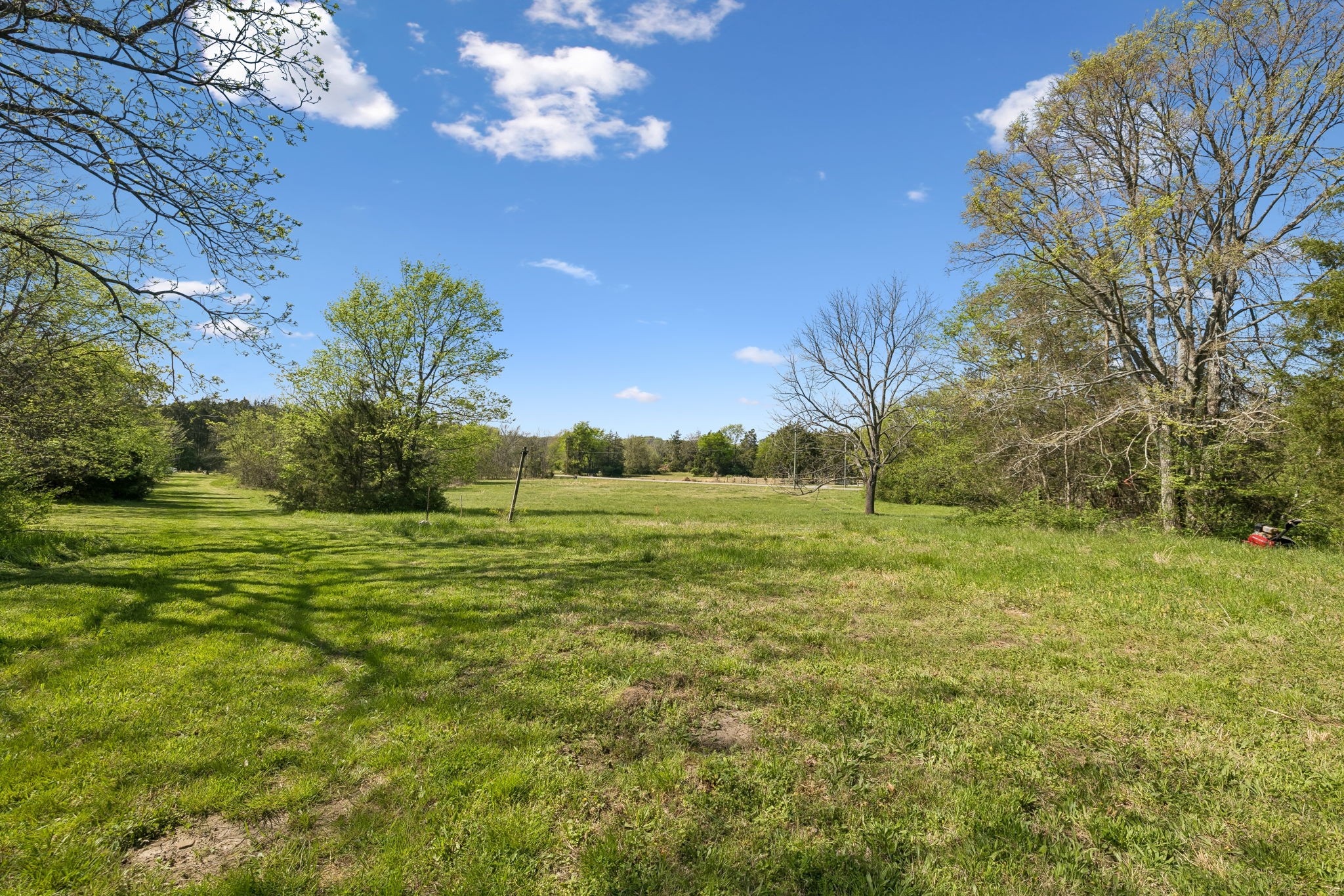 8633 Webb Road College Grove TN 37046