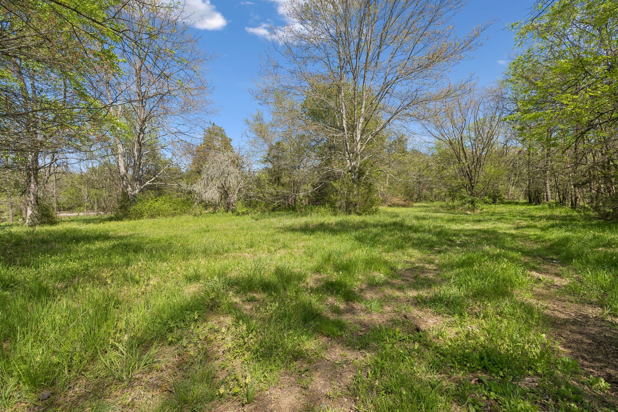 8633 Webb Road College Grove TN 37046