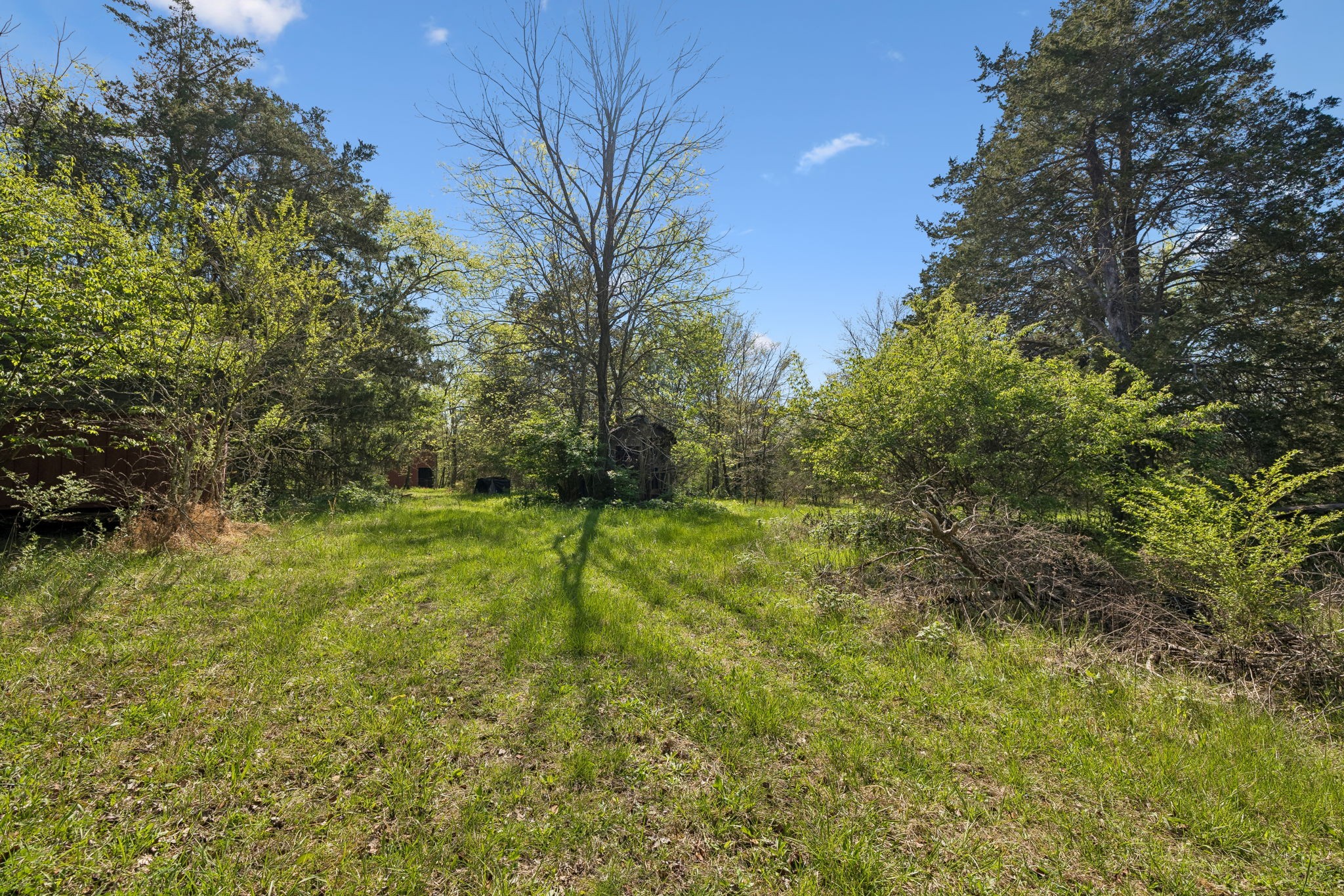 8633 Webb Road College Grove TN 37046