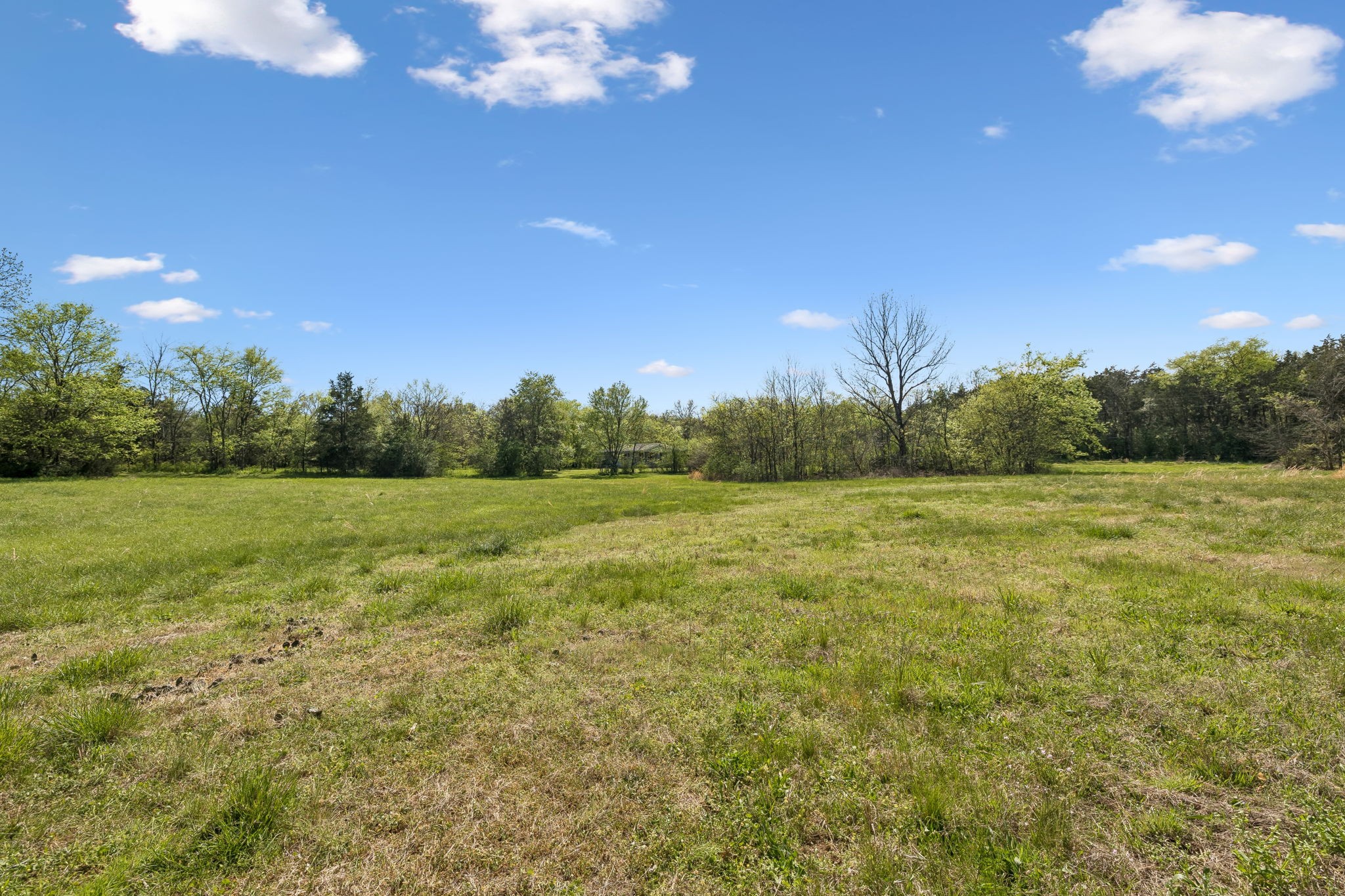 8633 Webb Road College Grove TN 37046