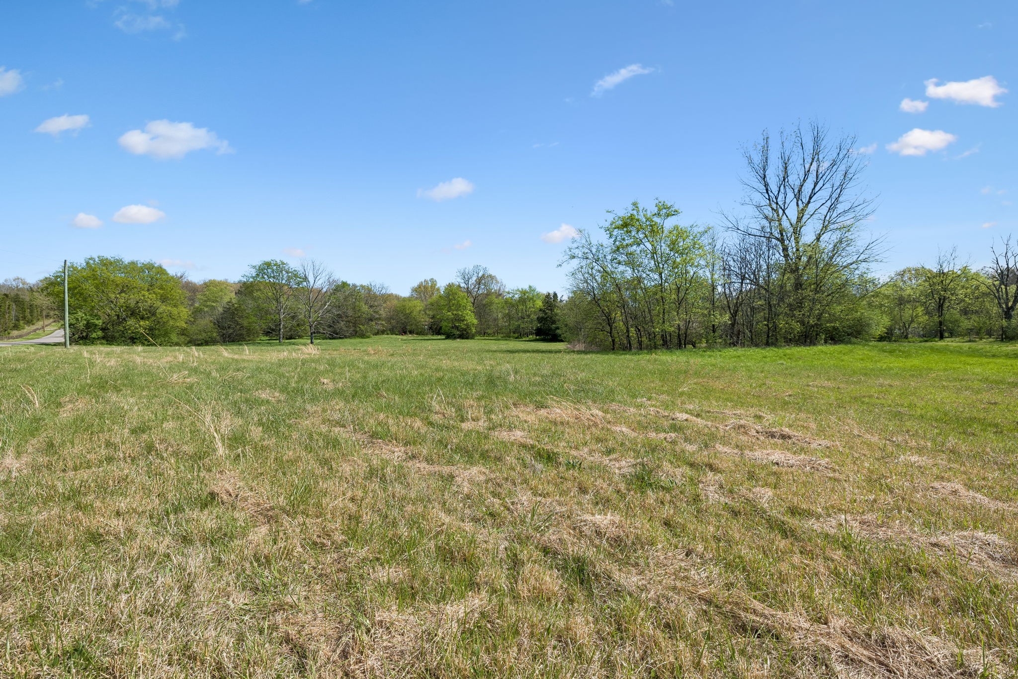 8633 Webb Road College Grove TN 37046