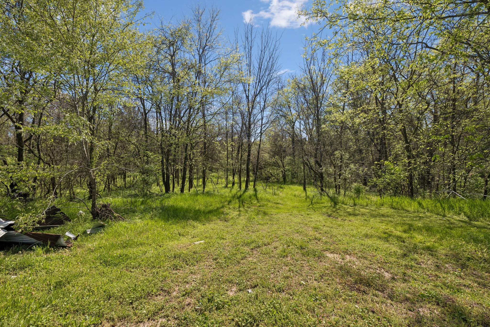 8633 Webb Road College Grove TN 37046
