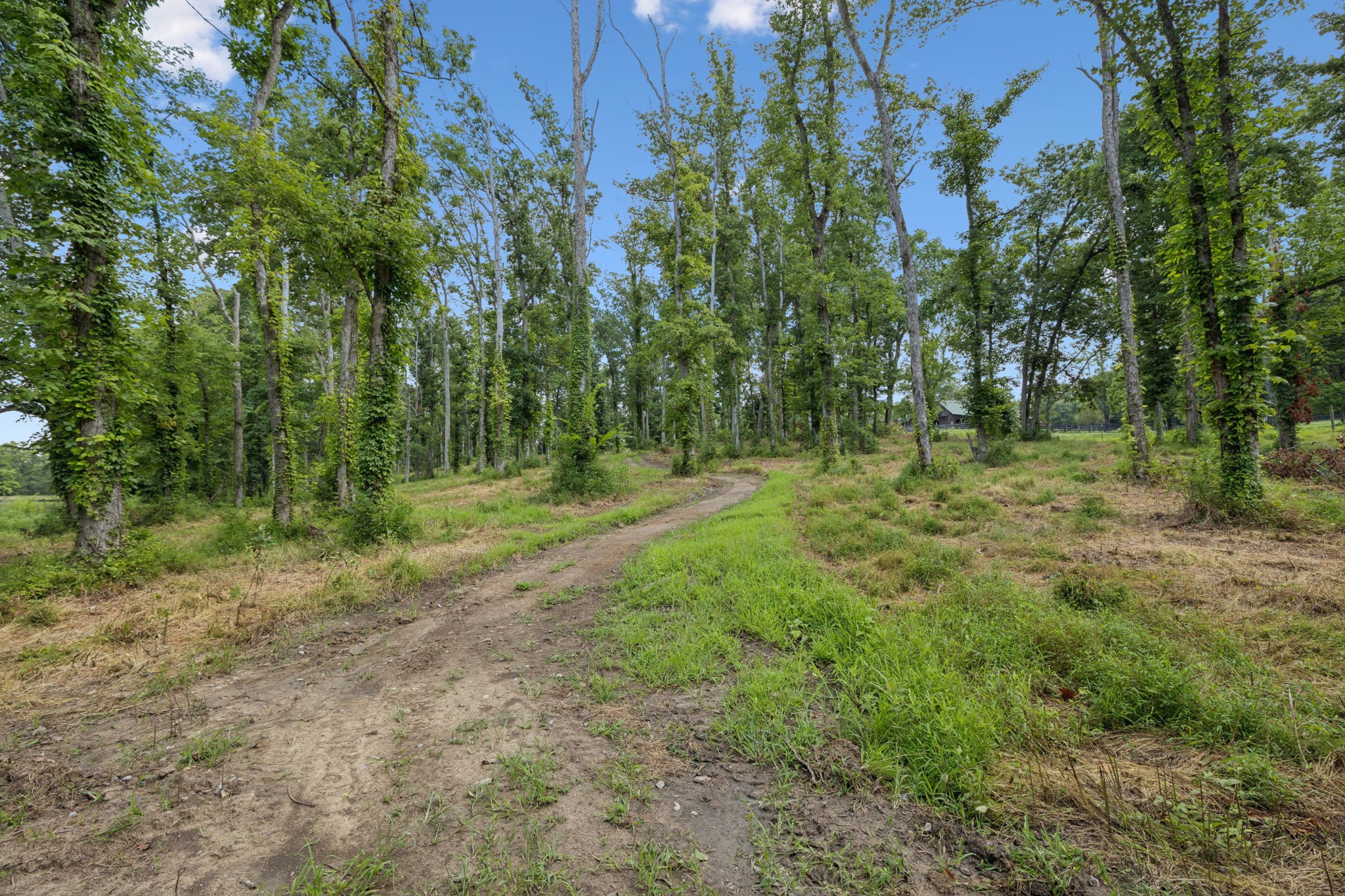 1411 Bell Meadow Court Nolensville TN 37135
