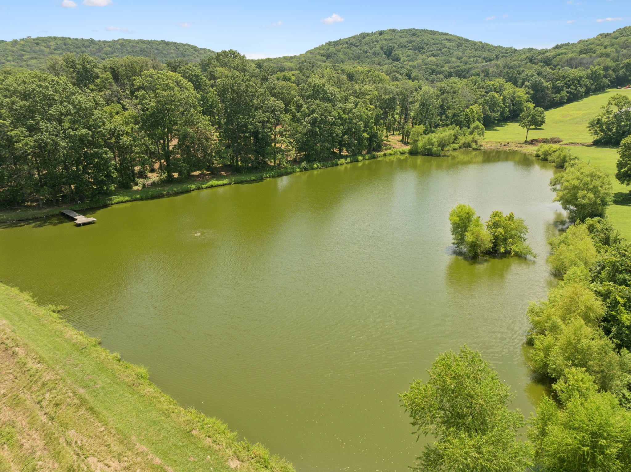 1411 Bell Meadow Court Nolensville TN 37135