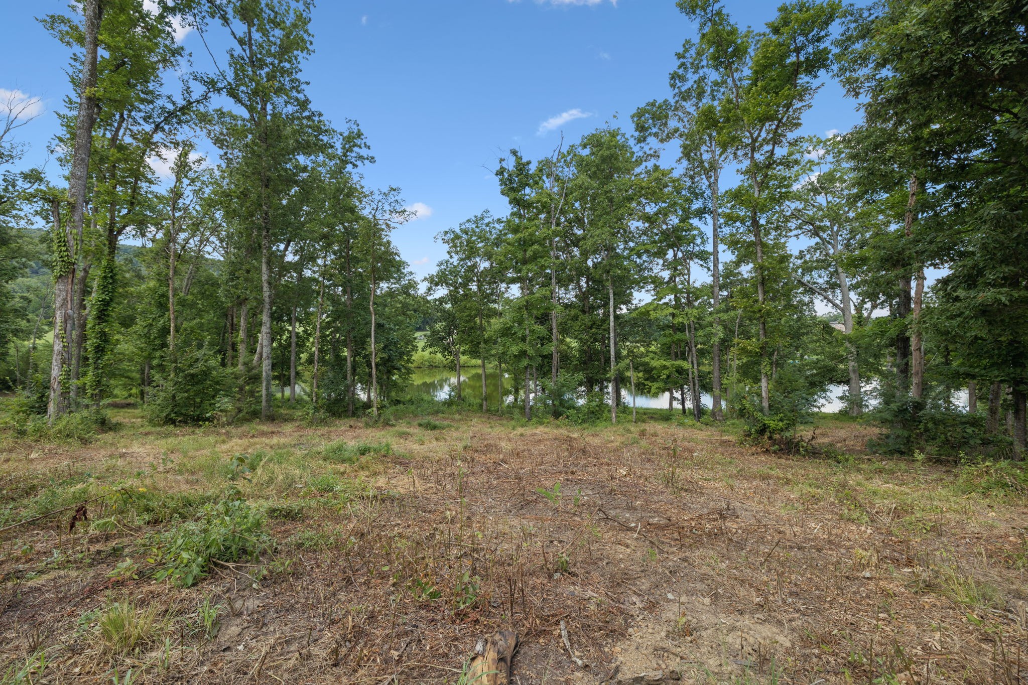 1411 Bell Meadow Court Nolensville TN 37135
