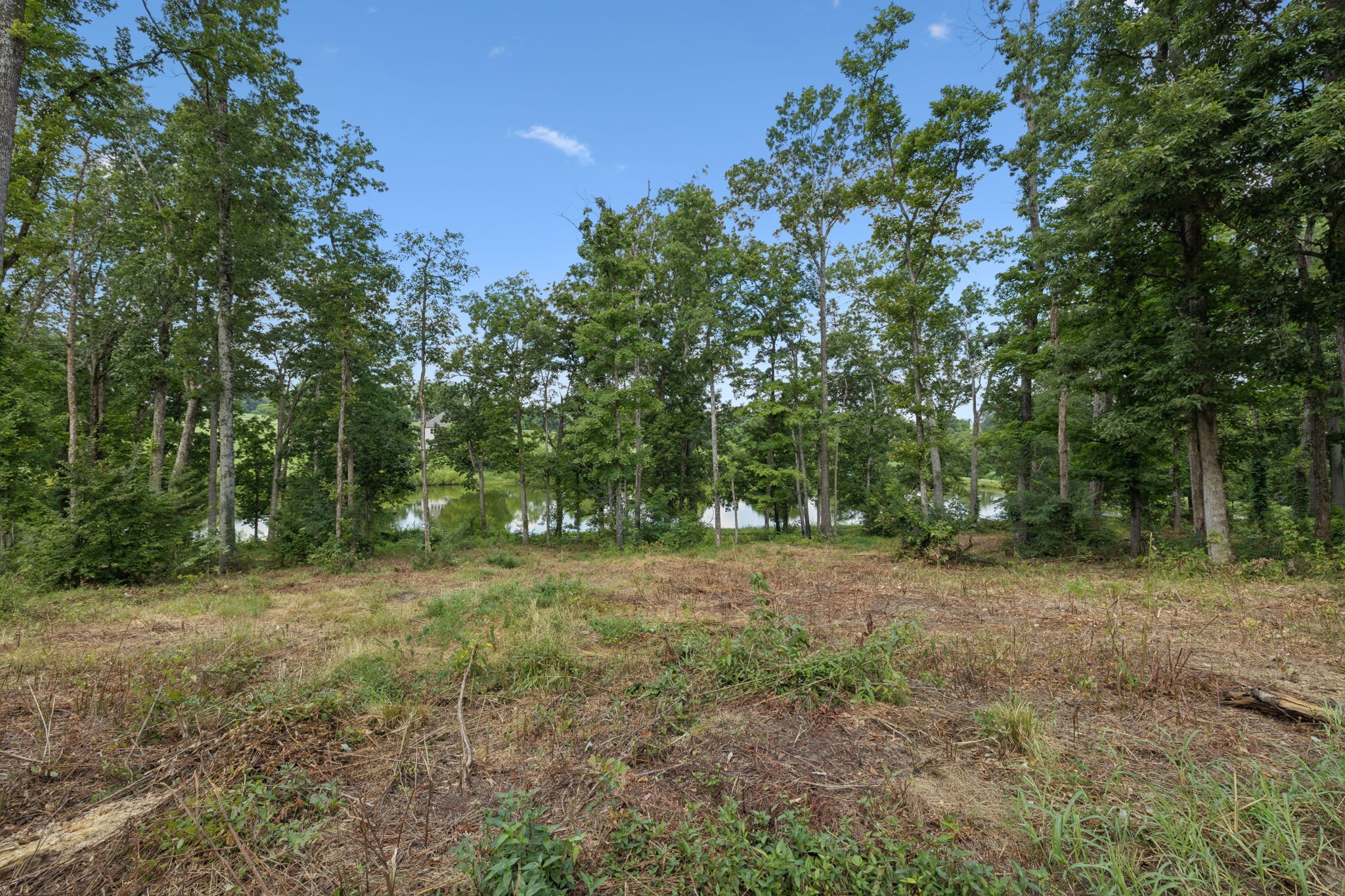 1411 Bell Meadow Court Nolensville TN 37135