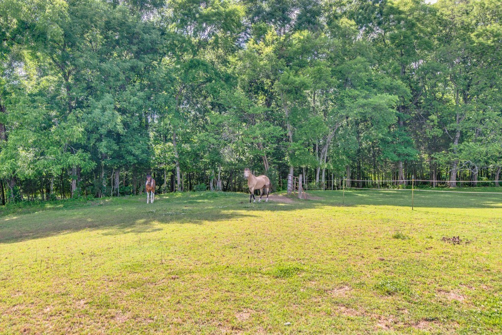 5292 Beckwith Road Mount Juliet TN 37122