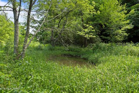 553 Caney Creek Road Sevierville TN 37863