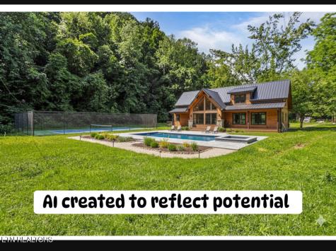 553 Caney Creek Road Sevierville TN 37863