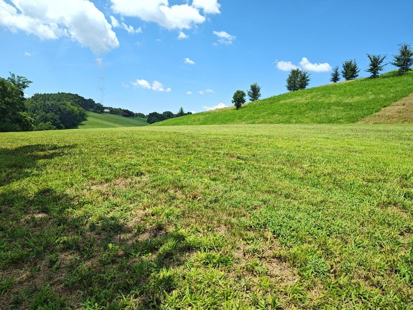 72 Espalier Drive Decatur TN 37322